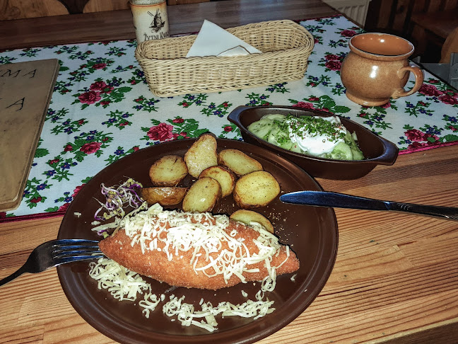 Comentarii opinii despre Restauracja U Wnuka