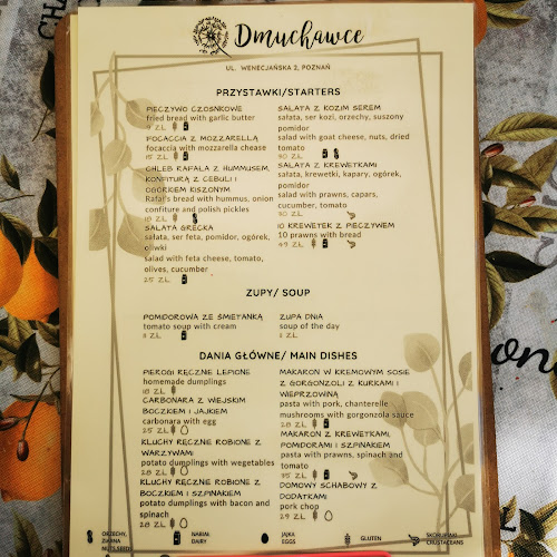 Comentarii opinii despre Restauracja Dmuchawce