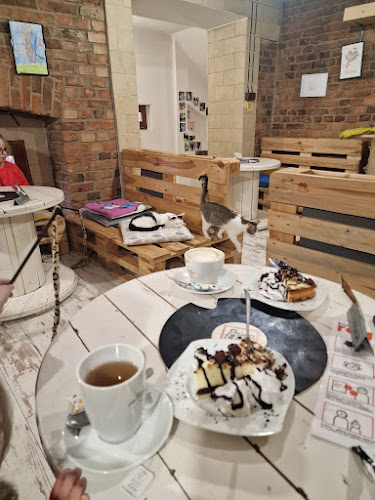 Opinii despre Kocia Kawiarnia „Koci Gościniec”/dla miłośników kotow/adopcja kota în Bytom - Gastronomia
