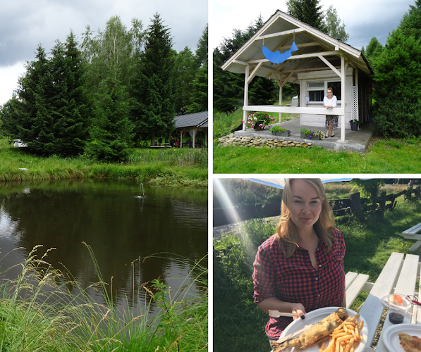 Trzebieszowice 12, 57-541