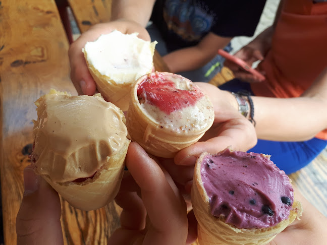 Lody Tradycyjne. W. Bachta - Gastronomia