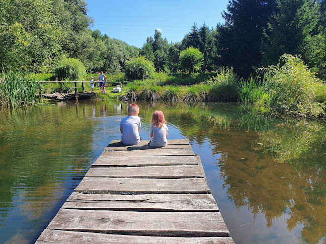 Trzebieszowice 12, 57-541