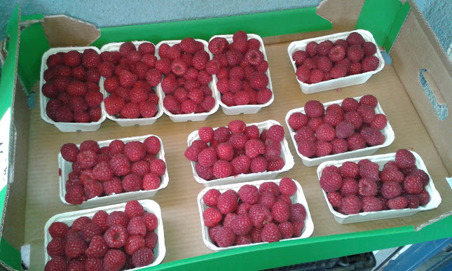 Comentarii opinii despre Warzywniak