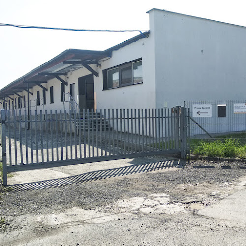 Prawdziwe Lody - zakład produkcyjny - Gastronomia