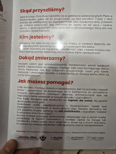 Kocia Kawiarnia „Koci Gościniec”/dla miłośników kotow/adopcja kota - Bytom