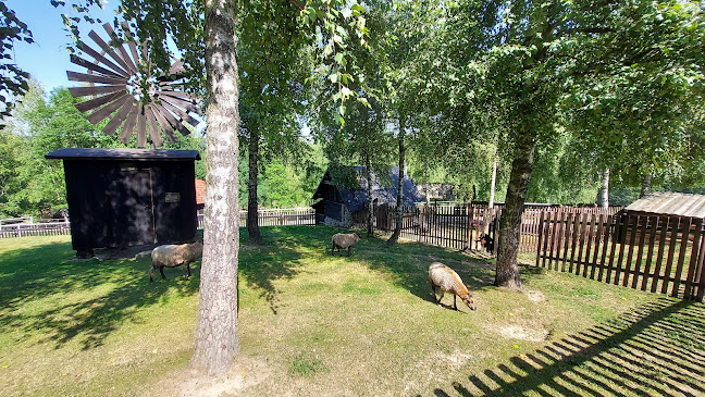 http://www.bacowka.com.pl/