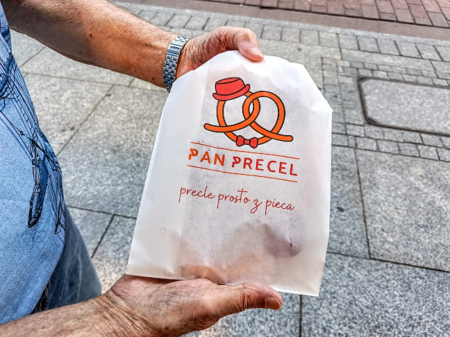 Comentarii opinii despre Pan Precel