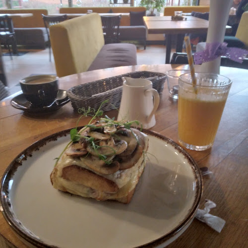 Comentarii opinii despre Zwycięska 9