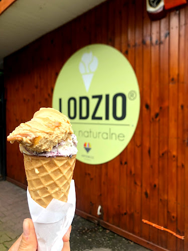 Reviews of Lodzio in Katowice - Gastronomia