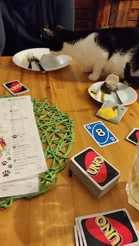 Comentarii opinii despre Kocia Kawiarnia Mruczkowo - Gliwice(7+)