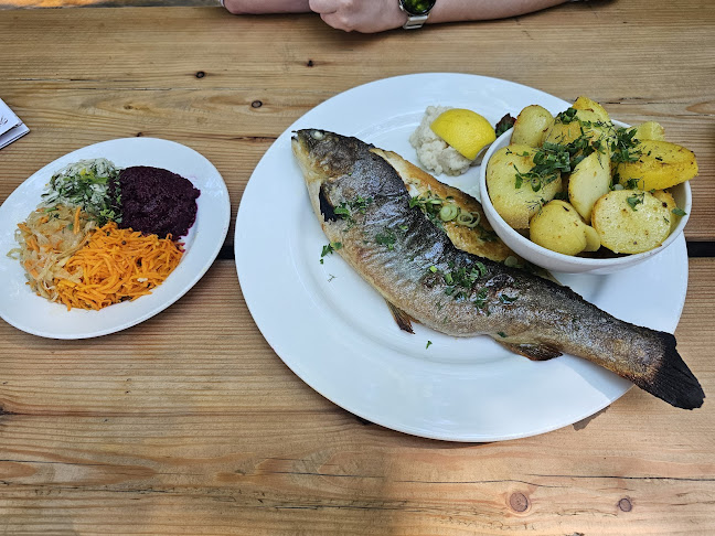 Opinii despre Gospoda Kolibecka în Zakopane - Gastronomia