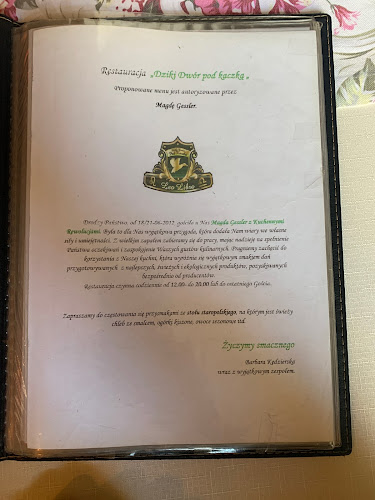 Comentarii opinii despre „Dziki Dwór pod kaczką” Leo Libra