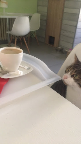 Opinii despre Kocia Ferajna în Bydgoszcz - Gastronomia