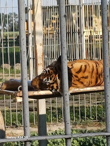 Comentarii opinii despre Zamek Gutów