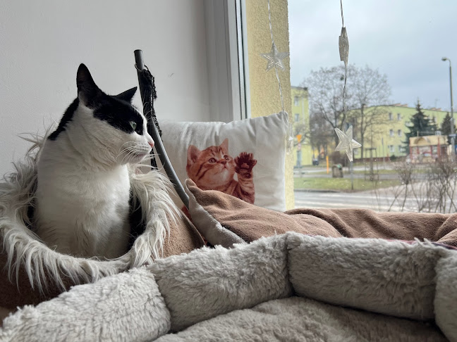 11 Listopada 16B (lokal na parterze), 85-643 Bydgoszcz