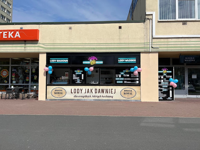 Lody Płock Ice cream mega gofry zapiekanki