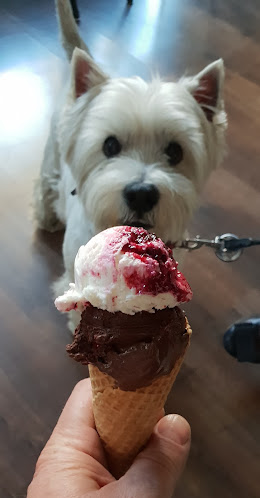 Romka Strzałkowskiego 15/1, 60-854 Poznań