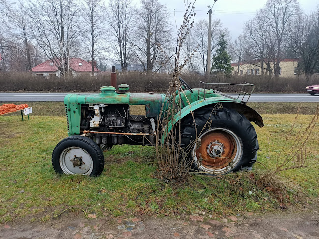 Comentarii opinii despre Chata Wiejska