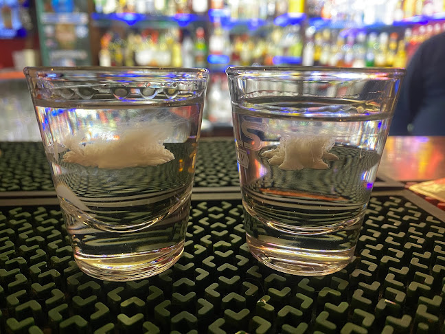 Opinii despre Shaker Pub în Wągrowiec - Gastronomia