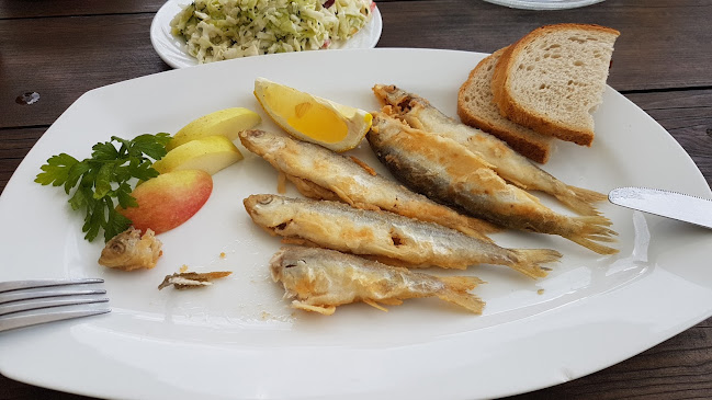 Reviews of Sielawka in Borowo - Gastronomia