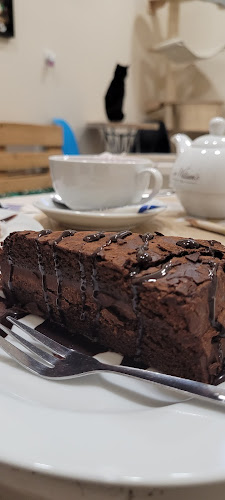 Kocia Kawiarnia „Koci Gościniec”/dla miłośników kotow/adopcja kota