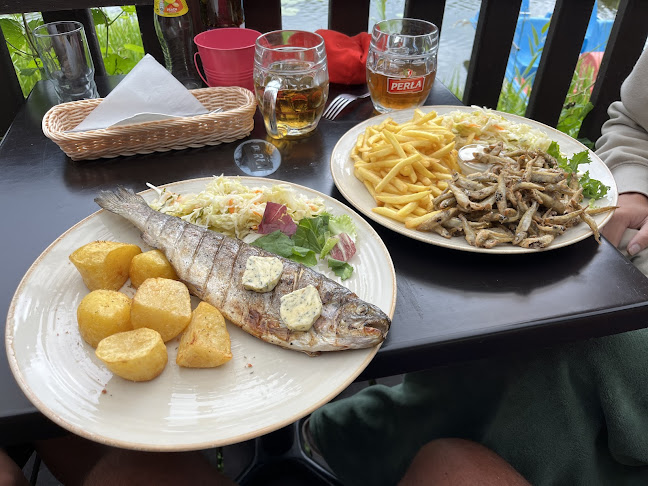 Comentarii opinii despre Karczma u Jakuba i Apartament