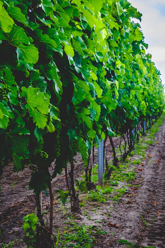 Poniatowskiego 53, 41-407 Imielin