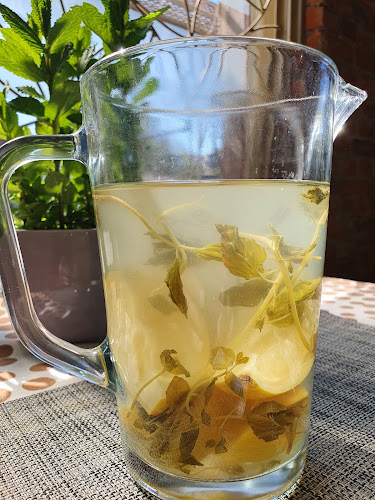 Opinii despre Restauracja Dmuchawce în Poznań - Gastronomia