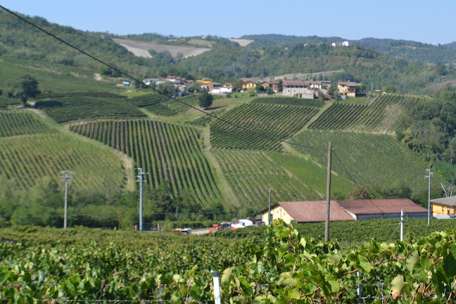 Specjały włoskie Vinum Veritum - Gastronomia