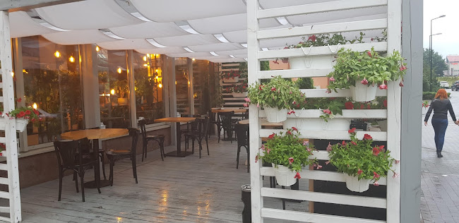 Zwycięska 9/23, 53-034 Wrocław