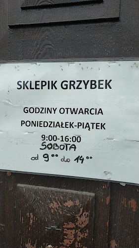 Comentarii opinii despre GRZYBEK