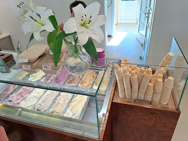 Opinii despre Lody Dudzik în Dobczyce - Gastronomia