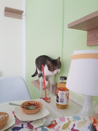 Kocia Ferajna - Bydgoszcz