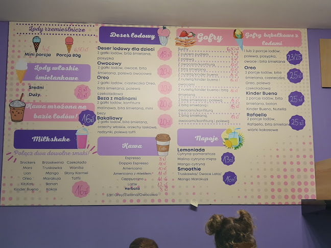 Lodziarnia Wafelkovo - Gastronomia