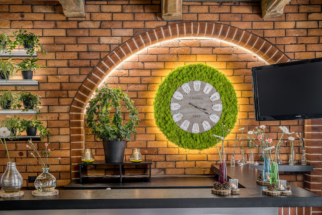 Opinii despre Lovely Moss în Toruń - Gastronomia