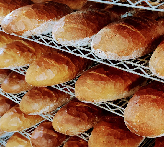 Piekarnia Kuźnia Małgorzata Dudacy-Matkowska - Gastronomia