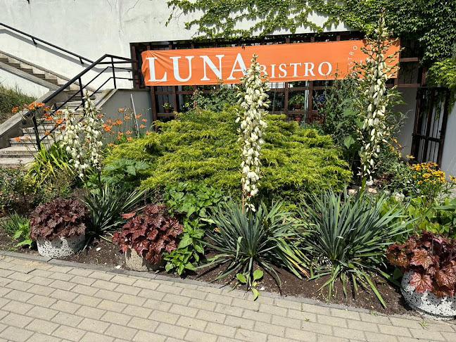 Bistro Luna - Warszawa