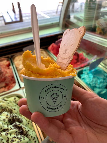 Comentarii opinii despre Lodziarnia Tradycyjna Gastronomia Agnieszka