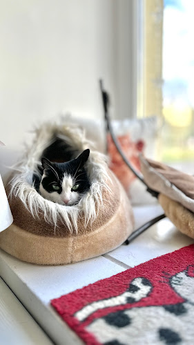 11 Listopada 16B (lokal na parterze), 85-643 Bydgoszcz