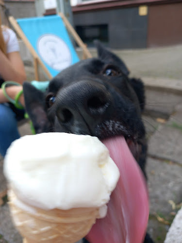 Tylko Mnie Kochaj! Lody Piaggio - Gastronomia