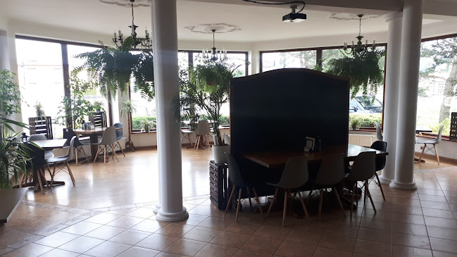 Comentarii opinii despre Dziki Burger