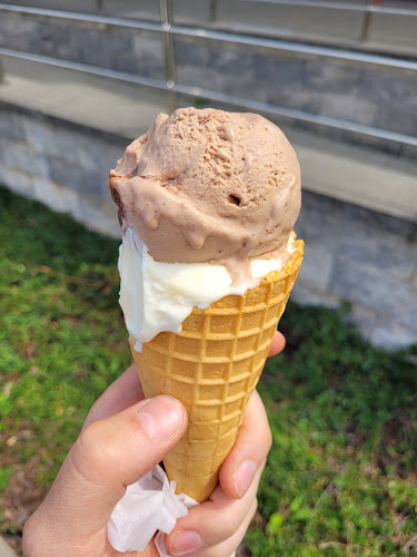 Opinii despre Lodziarnia Lodówka în Warszawa - Gastronomia