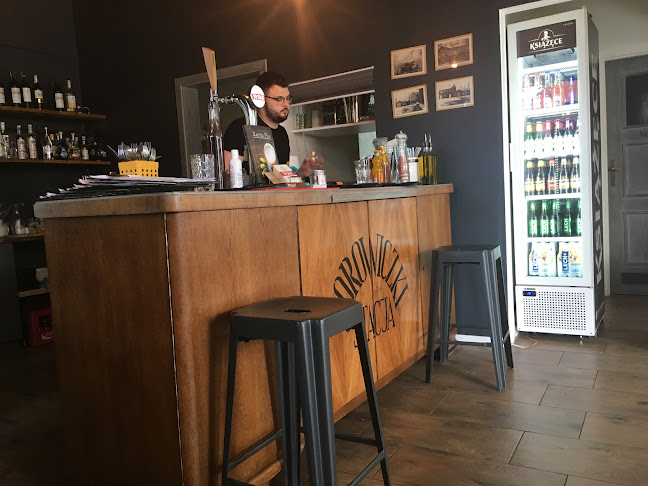 Stacja Borowiczki - Płock