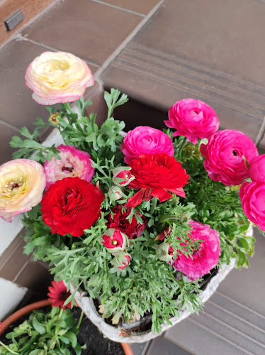 Comentarii opinii despre Kawiarnia Lokalnie