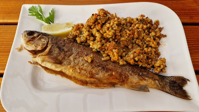 Karczma Karpiówka Restauracja Catering - Gastronomia