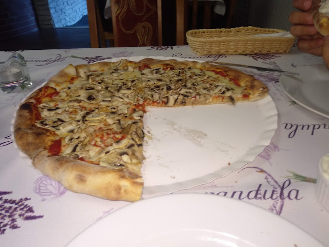 Pizzeria Verona Open Times