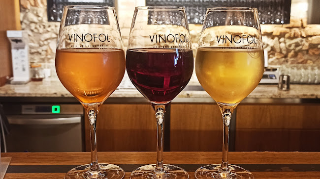 Opinii despre Dolium Vini în Boniowice - Gastronomia