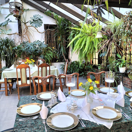 Comentarii opinii despre Dworek Koper