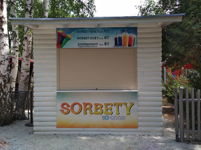 Lody tradycyjne i sorbety