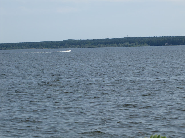 Sopelek - Gastronomia